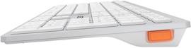 Клавиатура A4Tech Fstyler FBX50C (белая)