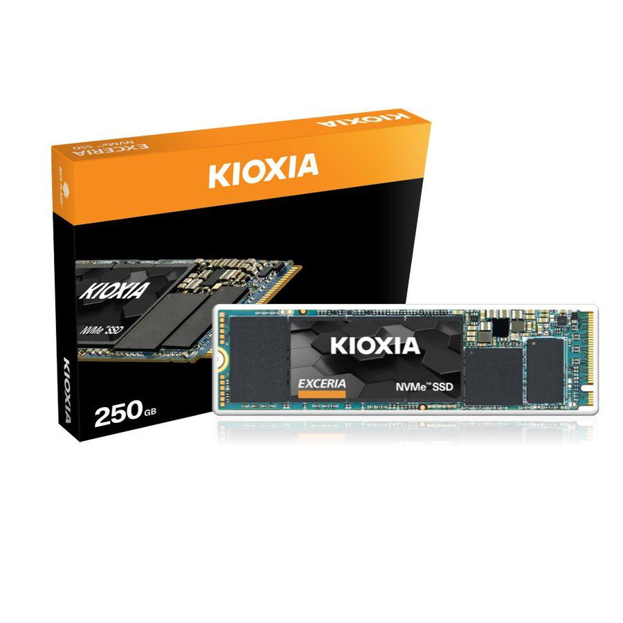 Жесткий диск SSD 250Gb KIOXIA EXCERIA (LRC10Z250GG8)