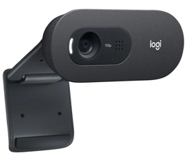 Веб-камера Logitech HD Webcam C505e (960-001372)