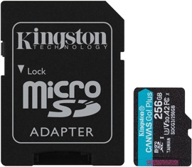 Карта памяти 256Gb Kingston Canvas Go! SDCG3/256GB
