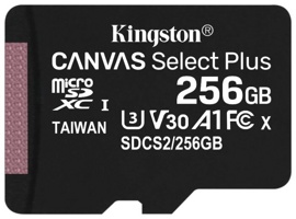 Карта памяти 256Gb Kingston Canvas Select Plus (SDCS2/256GBSP)