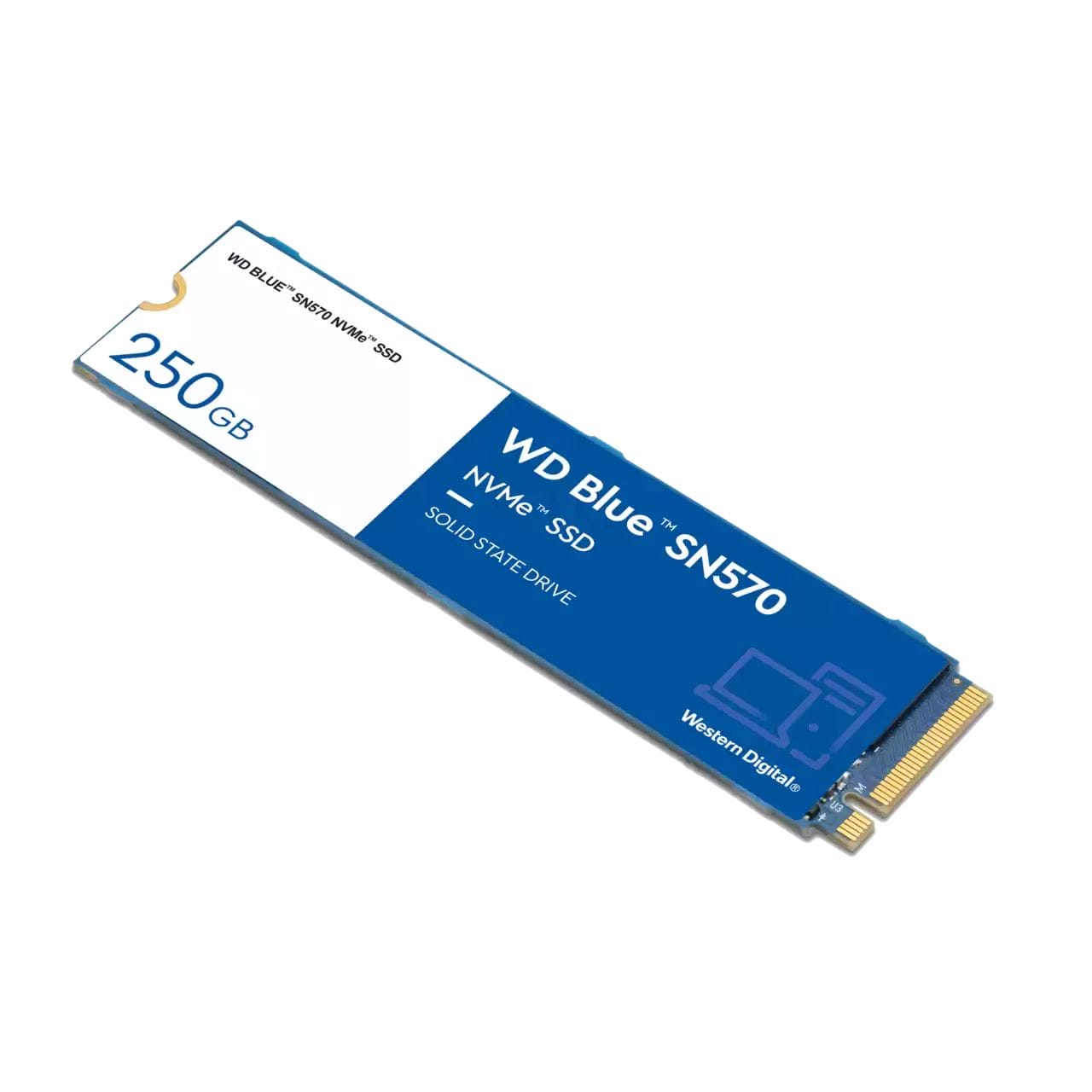 Жесткий диск SSD 250Gb Western Digital Blue SN570 (WDS250G3B0C)