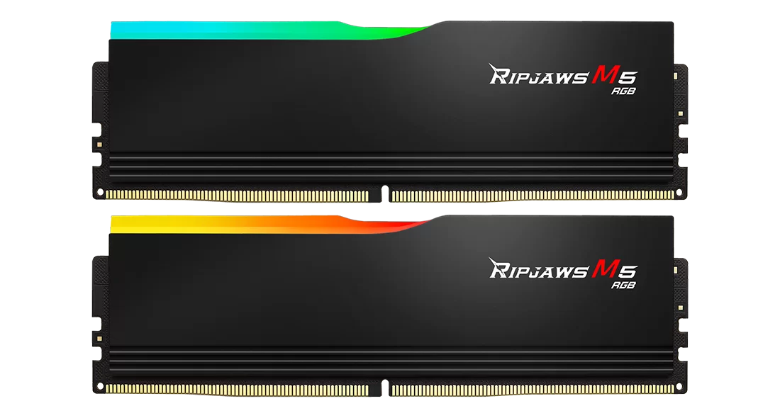 Модуль памяти 96Gb (2*48Gb) G.Skill Ripjaws M5 RGB (F5-5200J4040A48GX2-RM5RK)