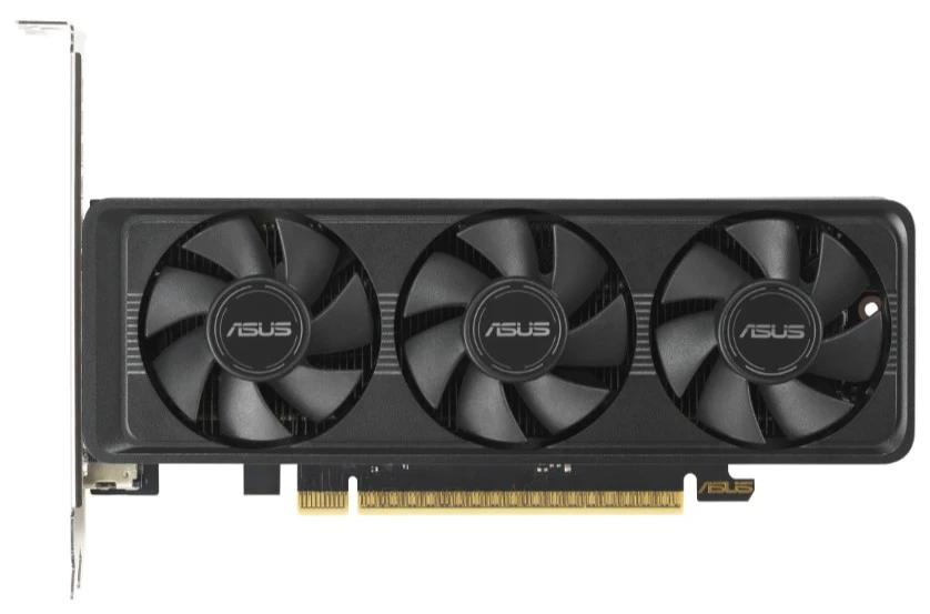 Видеокарта Asus RTX 5060 LP BRK 8GB GDDR7 OC Edition (RTX5060-O8G-LP-BRK)