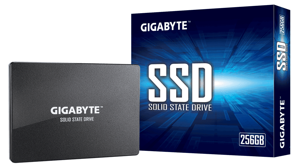 Жесткий диск SSD 256Gb Gigabyte GP-GSTFS31256GTND