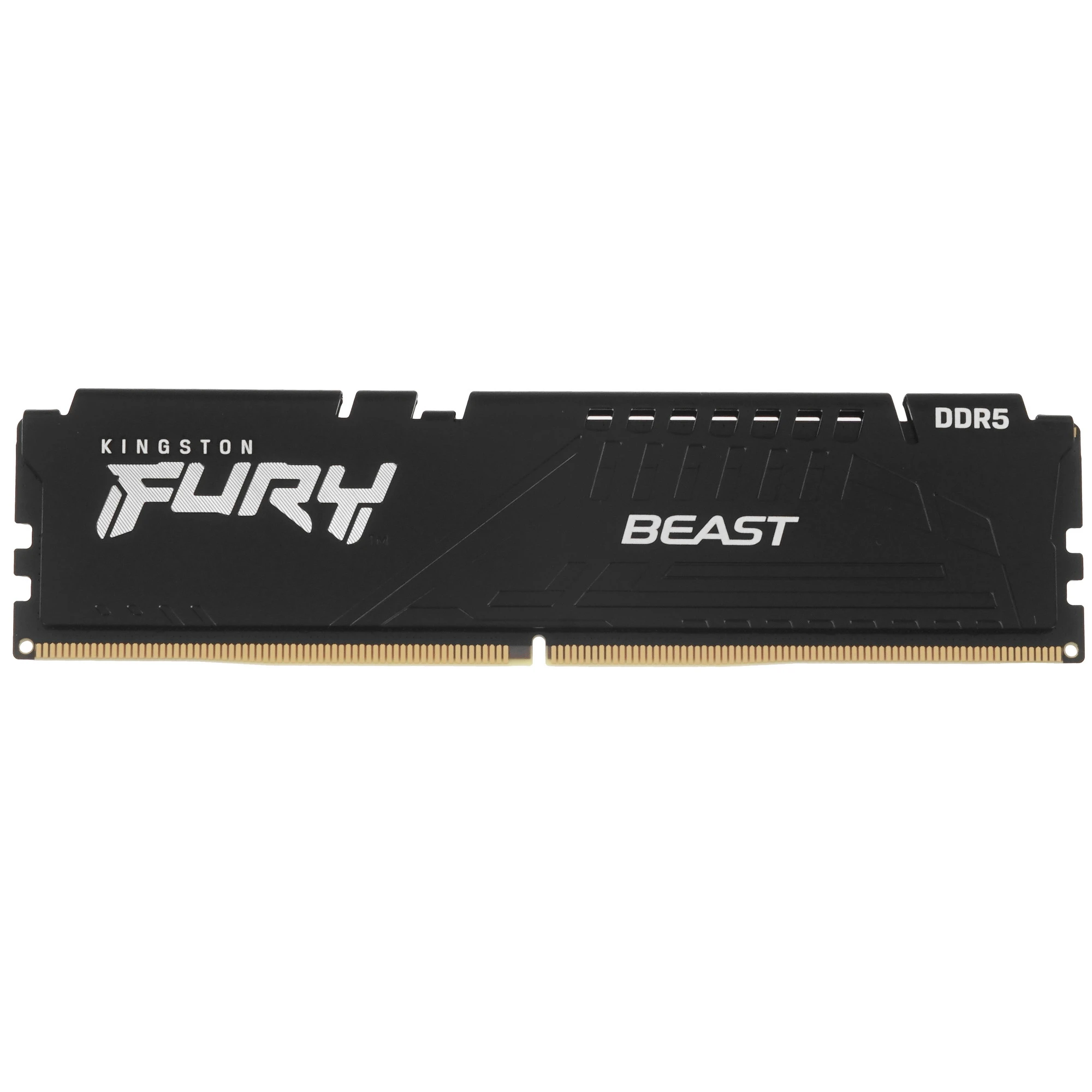 Модуль памяти 16Gb Kingston FURY Beast Black (KF560C30BBE-16)