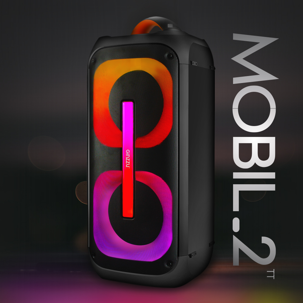 Колонка для вечеринок Ginzzu GM-112