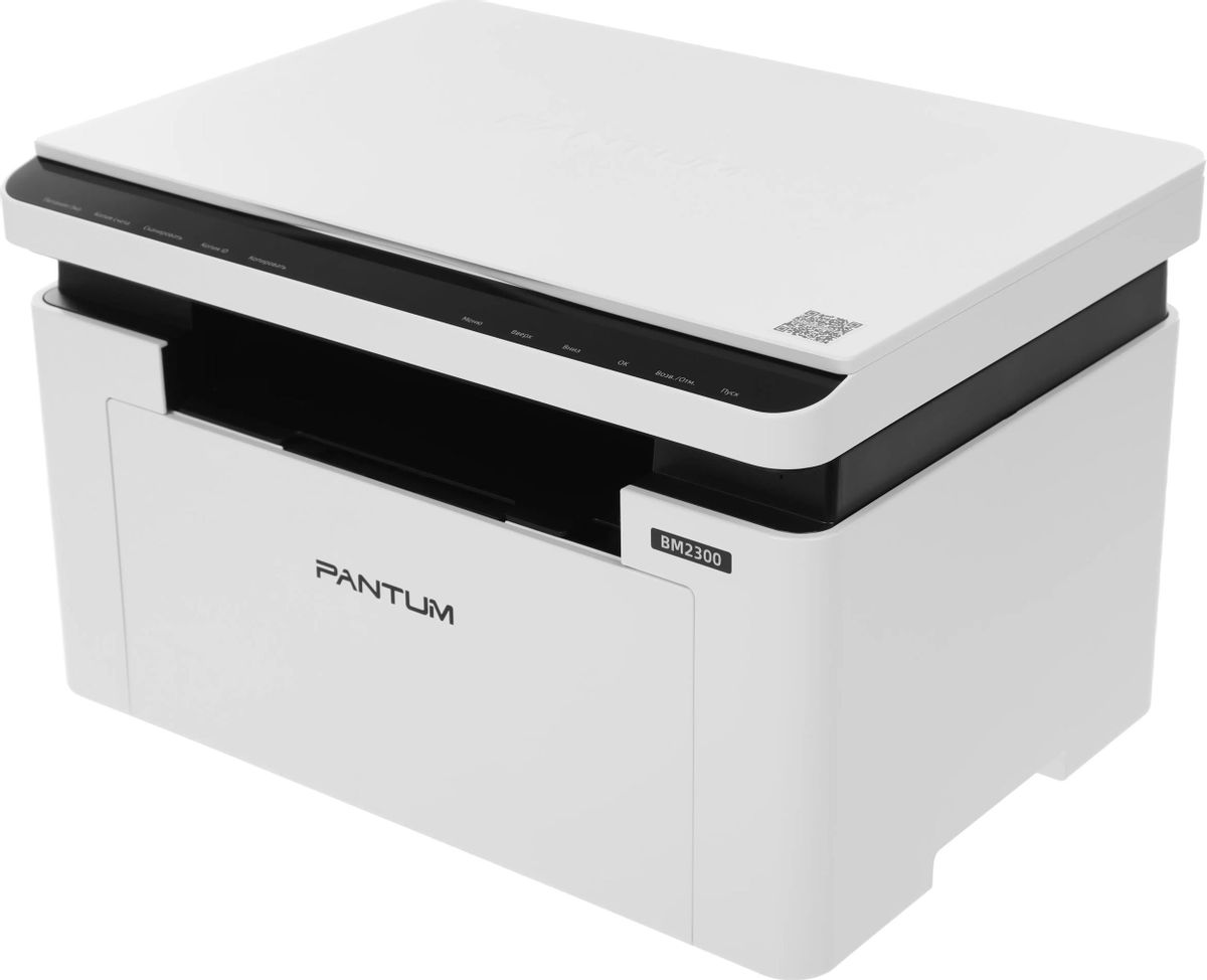 Многофункциональное устройство Pantum BM2300