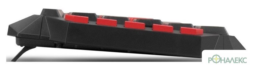 Клавиатура ExeGate Multimedia Professional Standard LY-505M - фото4