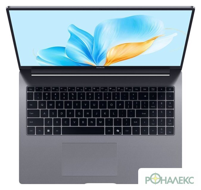 Ноутбук HONOR MagicBook X16 2025 BRG-565 5301ALWS - фото3