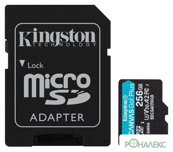 Карта памяти Kingston Canvas Go! microSDXC 256GB SDCG4/256GB (с адаптером) - фото
