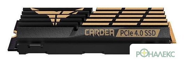 SSD Team T-Force Cardea A440 2TB TM8FPZ002T0C327 - фото2