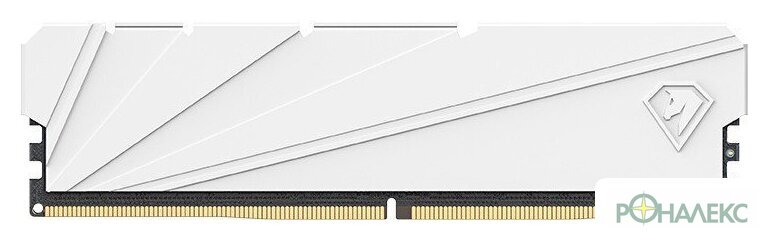 Оперативная память Netac Shadow S 16ГБ DDR4 3200 МГц NTSSD4P32SP-16W - фото