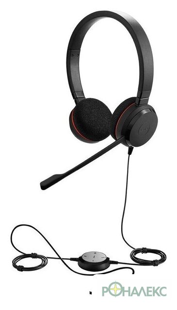 Офисная гарнитура Jabra Evolve 20 MS Stereo USB-C/A - фото
