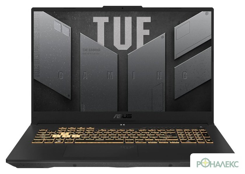 Игровой ноутбук ASUS TUF Gaming F17 FX707VUR-HX208 - фото