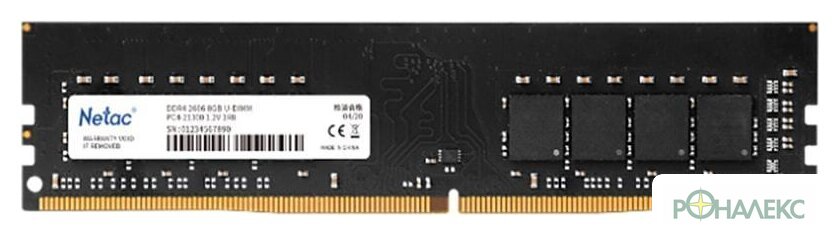 Оперативная память Netac Basic 4GB DDR4 PC4-21300 NTBSD4P26SP-04 - фото