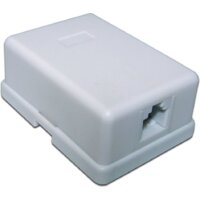 Розетка TWT TWT-SS1-12-WH- фото