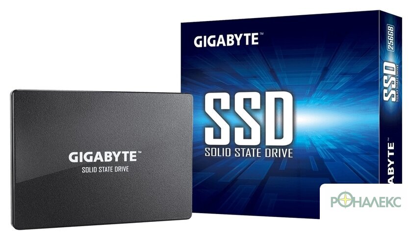 SSD Gigabyte 256GB GP-GSTFS31256GTND- фото4