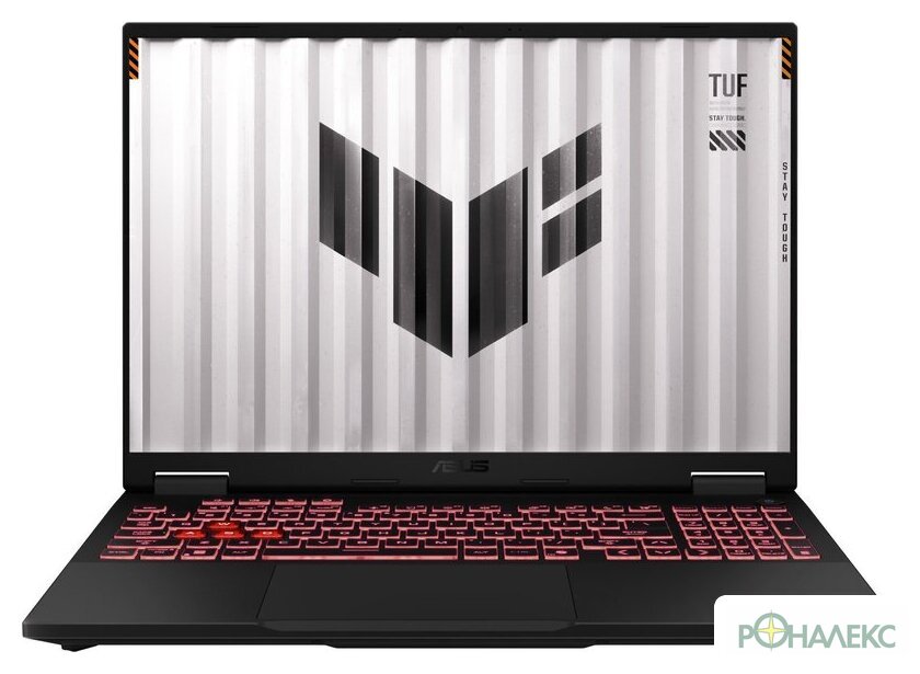Игровой ноутбук ASUS TUF Gaming A16 2025 FA608UM-RV053 - фото