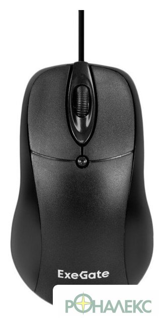 Мышь ExeGate Professional Standard B100L - фото