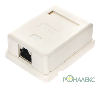 Розетка компьютерная Cablexpert NAS212 - фото