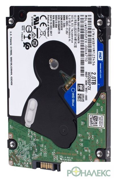 Жесткий диск WD Blue Mobile 2TB WD20SPZX - фото3
