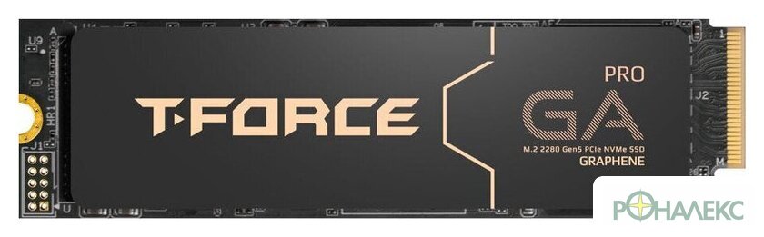 SSD Team T-Force GA PRO 1TB TM8FFJ001T0C129 - фото